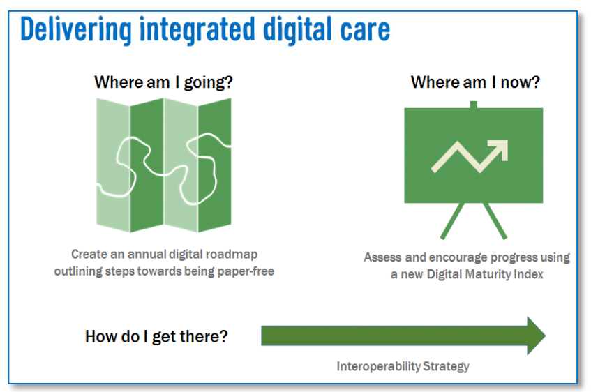 hscic_dig_maturity_model